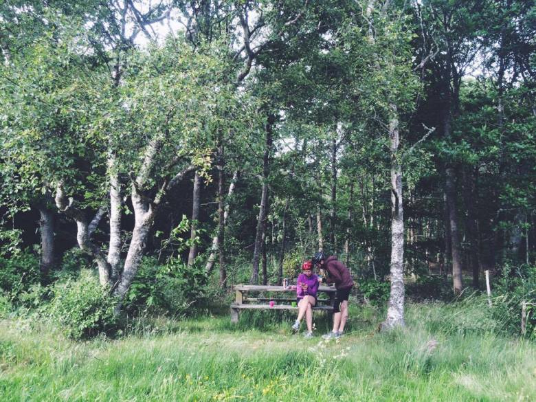 13396565_1092640797462474_1546842658_o