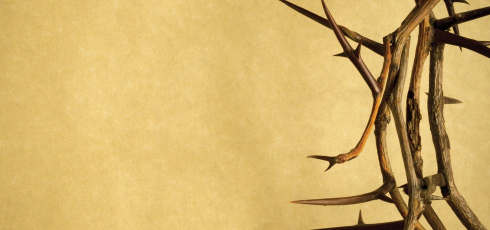 Christ is king jipp book review