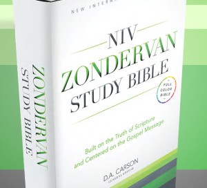 nivzsb