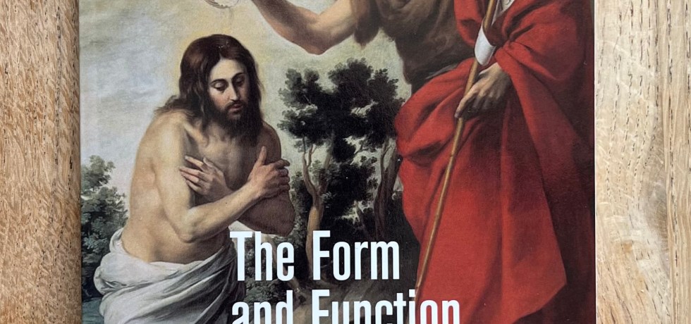 The Form and Function of Mark Bradley Johnson